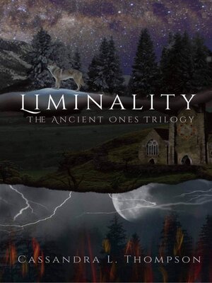 cover image of Liminality